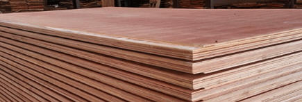 compensato marino multistrato Container