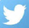 Twitter Waldem